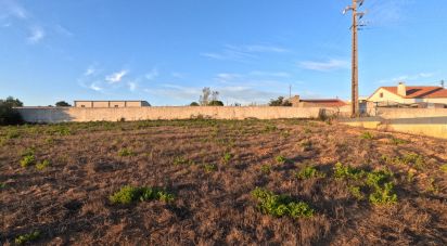 Terrain à Mafra de 2 711 m²