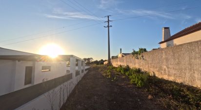 Terrain à Mafra de 2 711 m²