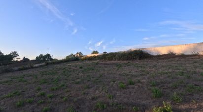 Terrain à Mafra de 2 711 m²