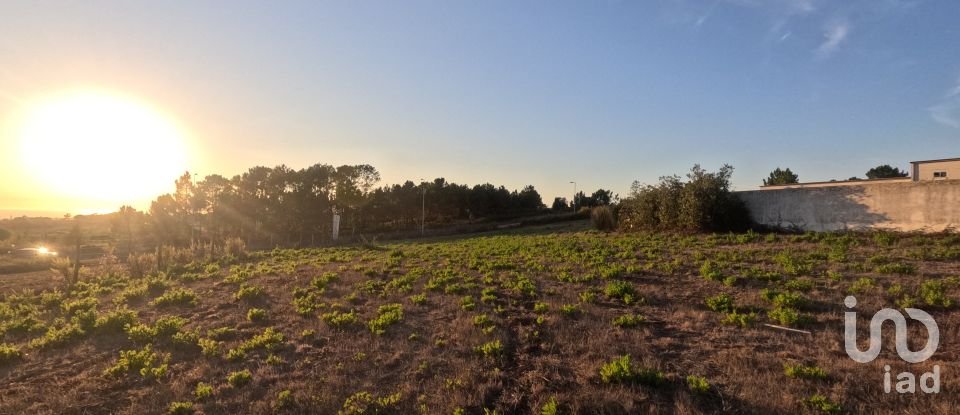 Land in Mafra of 2,711 m²