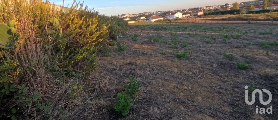 Land in Mafra of 2,711 m²