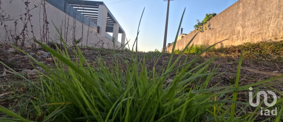 Land in Mafra of 2,711 m²