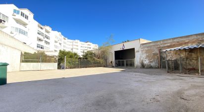 Pavilion T0 in Olhão of 228 m²