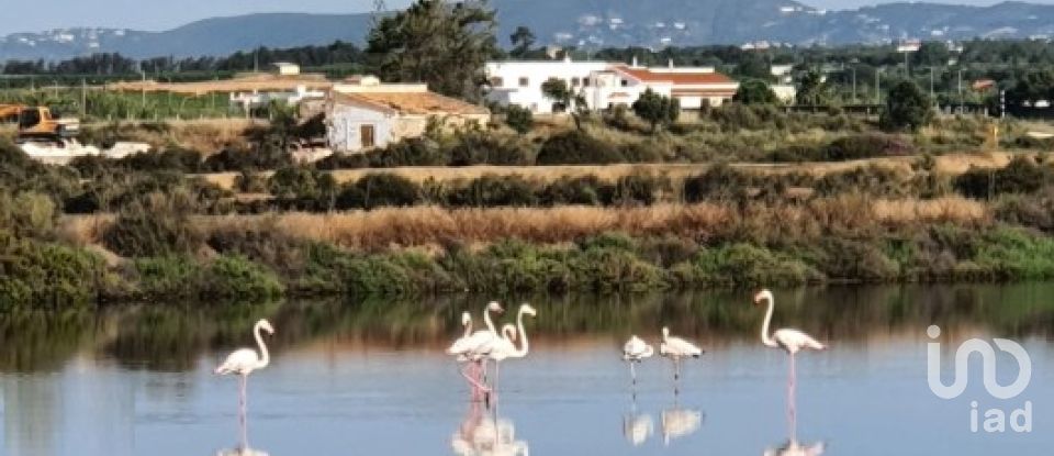 Pavillon T0 à Olhão de 228 m²