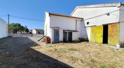 Boutique/Local commercial à Avis de 579 m²