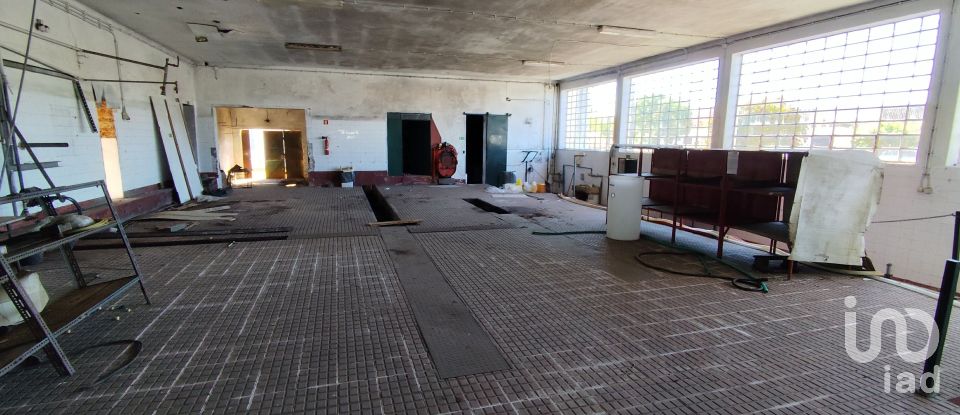 Boutique/Local commercial à Avis de 579 m²