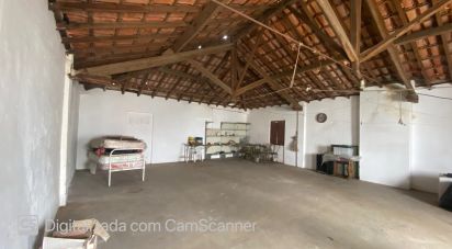 Maison T3 à Benavila e Valongo de 189 m²