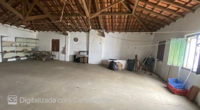 Maison T3 à Benavila e Valongo de 189 m²