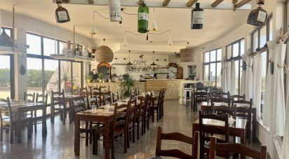 Boutique/Local commercial à Sagres de 220 m²