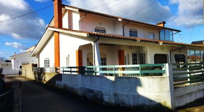 Traditional house T4 in Campos e Vila Meã of 205 m²