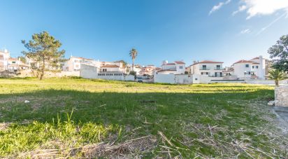 Terrain agricole à Nazaré de 4 372 m²