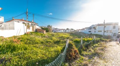Terrain agricole à Nazaré de 4 372 m²