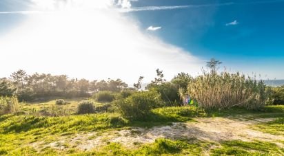 Terrain agricole à Nazaré de 4 372 m²
