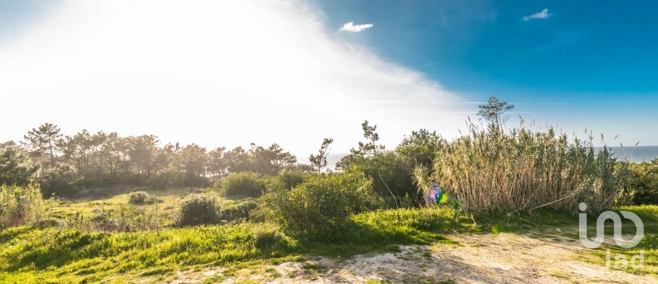 Terreno rústico em Nazaré de 4 372 m²