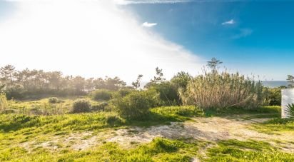Terrain agricole à Nazaré de 4 372 m²
