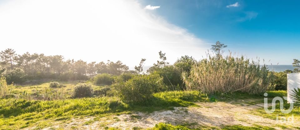 Terreno rústico em Nazaré de 4 372 m²
