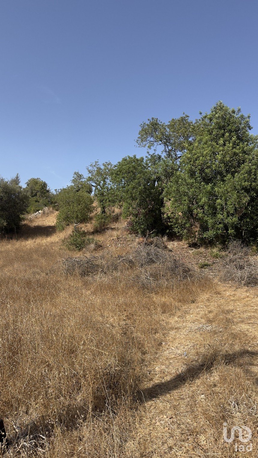 Terreno rústico em Algoz e Tunes de 6 480 m²