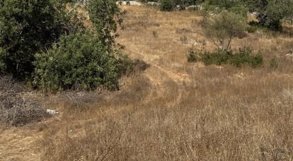 Terrain agricole à Algoz e Tunes de 6 480 m²