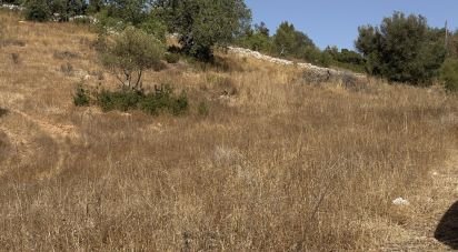 Terrain agricole à Algoz e Tunes de 6 480 m²
