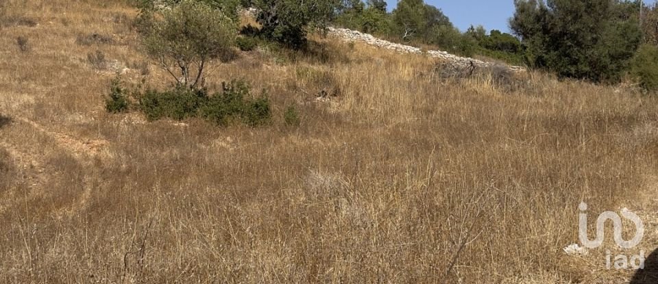 Terreno rústico em Algoz e Tunes de 6 480 m²