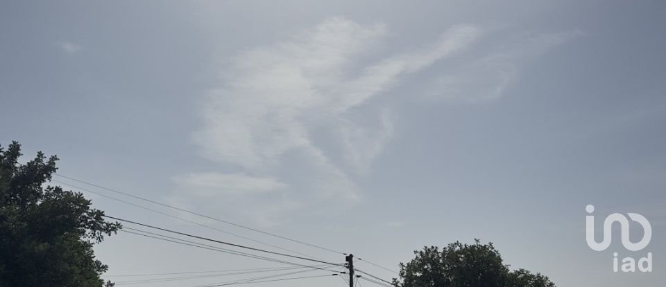 Terreno rústico em Algoz e Tunes de 6 480 m²