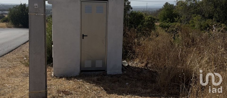 Terreno rústico em Algoz e Tunes de 6 480 m²