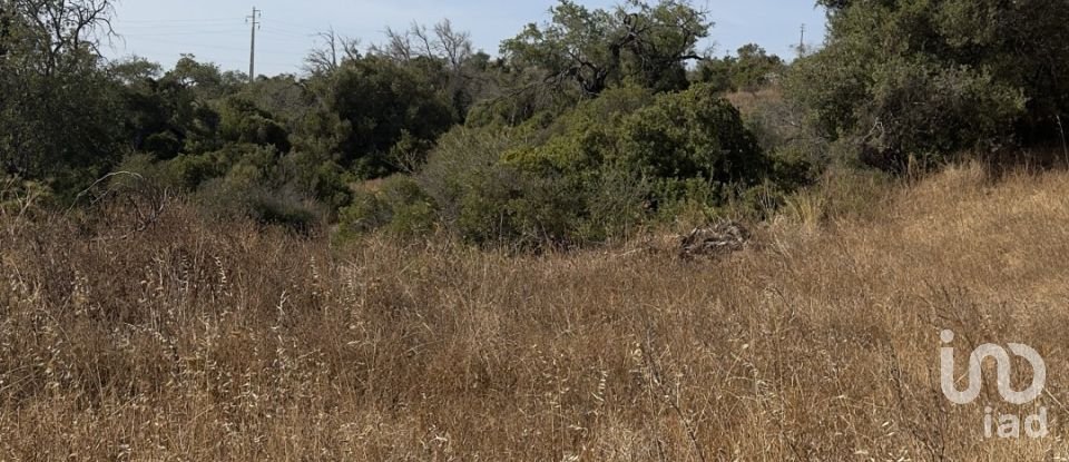 Terreno rústico em Algoz e Tunes de 6 480 m²