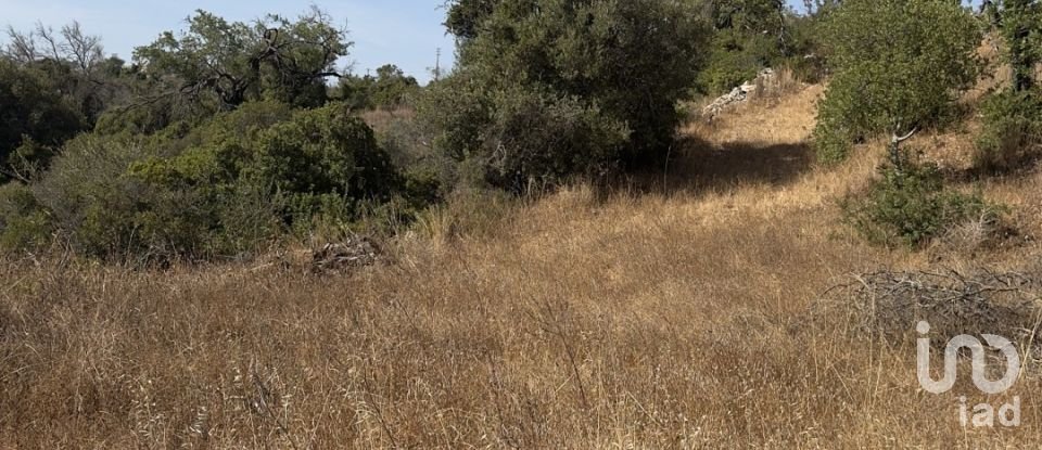 Terreno rústico em Algoz e Tunes de 6 480 m²