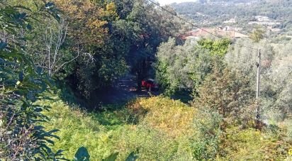 Land in Ribeira do Neiva of 290 m²