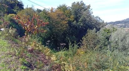 Land in Ribeira do Neiva of 290 m²