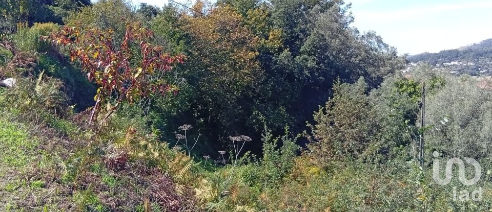 Terreno em Ribeira do Neiva de 290 m²