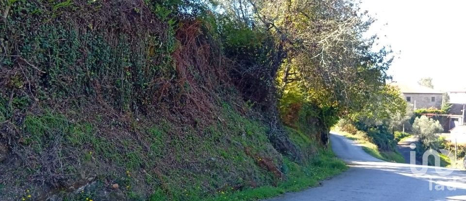 Terreno em Ribeira do Neiva de 290 m²