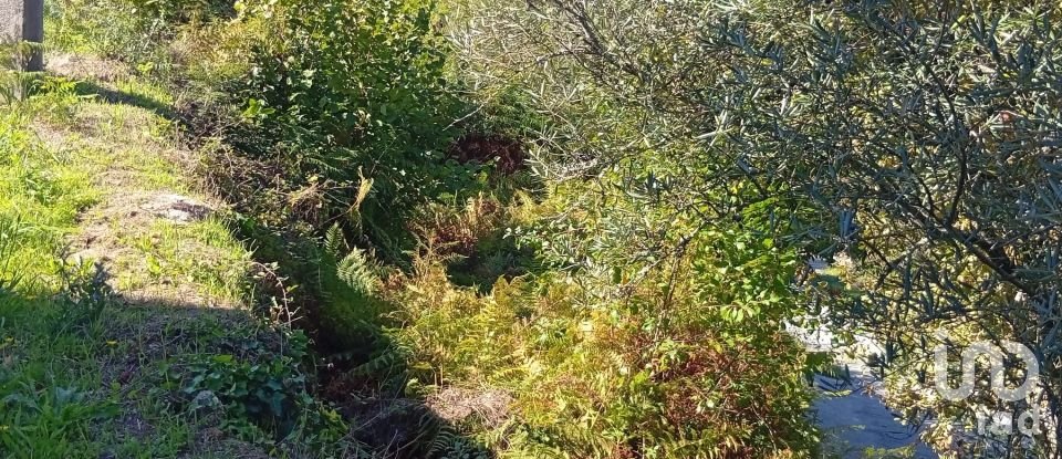 Terreno em Ribeira do Neiva de 290 m²