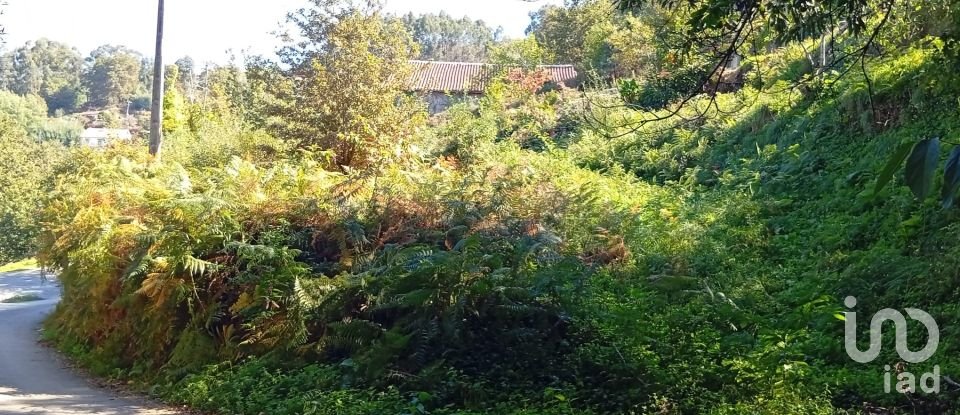 Terreno em Ribeira do Neiva de 290 m²