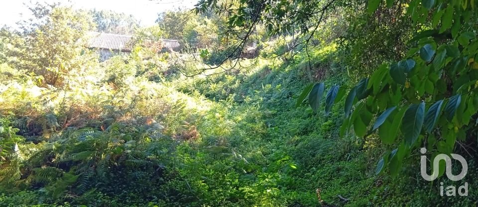 Terreno em Ribeira do Neiva de 290 m²