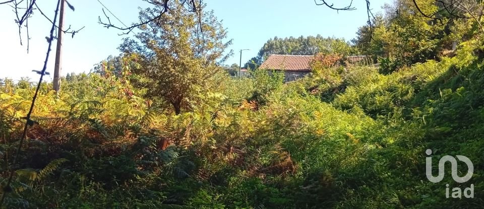 Terreno em Ribeira do Neiva de 290 m²