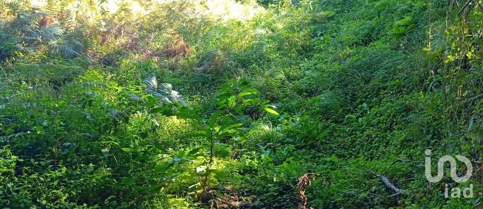 Terreno em Ribeira do Neiva de 290 m²