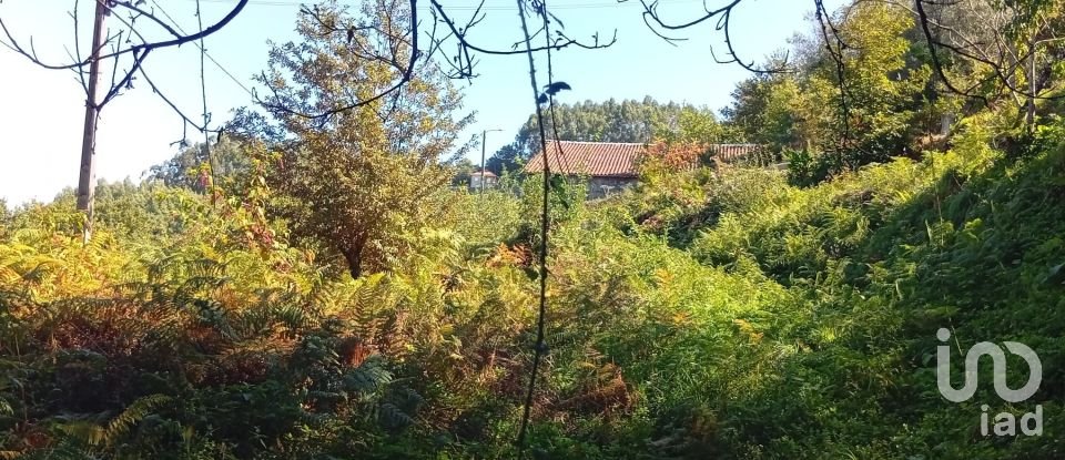 Terreno em Ribeira do Neiva de 290 m²