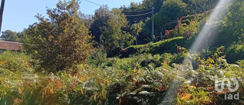 Terreno em Ribeira do Neiva de 290 m²