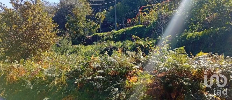 Terreno em Ribeira do Neiva de 290 m²