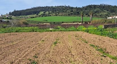 Terrain à Azueira e Sobral da Abelheira de 21 437 m²