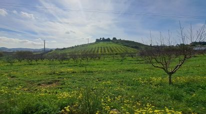 Terrain à Azueira e Sobral da Abelheira de 21 437 m²