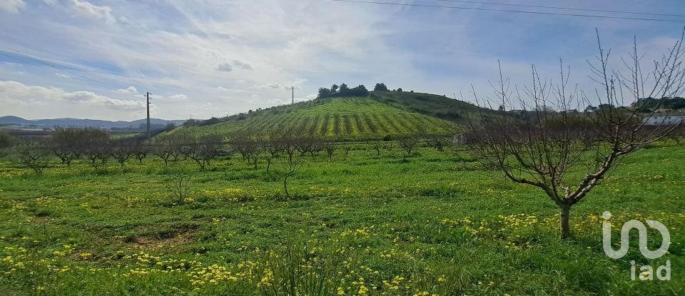 Terreno em Azueira e Sobral da Abelheira de 21 437 m²