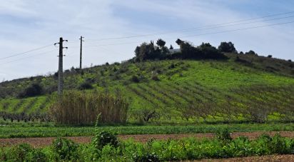 Terrain à Azueira e Sobral da Abelheira de 21 437 m²