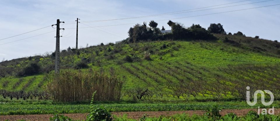 Terreno em Azueira e Sobral da Abelheira de 21 437 m²
