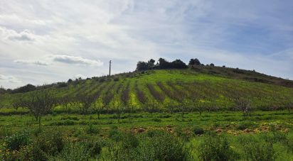 Terrain à Azueira e Sobral da Abelheira de 21 437 m²