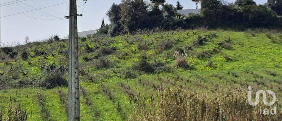 Terreno em Azueira e Sobral da Abelheira de 21 437 m²