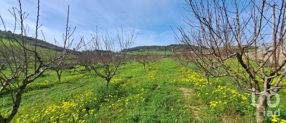 Terreno em Azueira e Sobral da Abelheira de 21 437 m²
