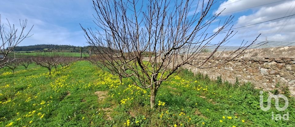 Terreno em Azueira e Sobral da Abelheira de 21 437 m²