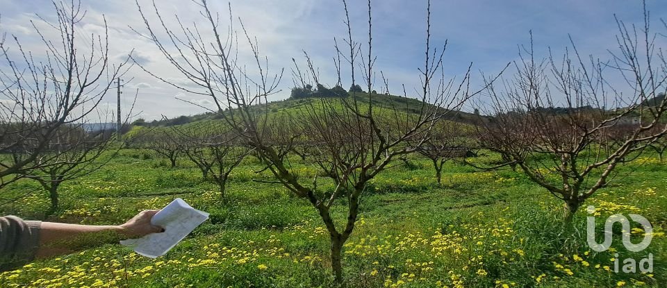 Terreno em Azueira e Sobral da Abelheira de 21 437 m²